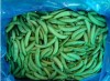 Frozen sugar snap peas with haccp