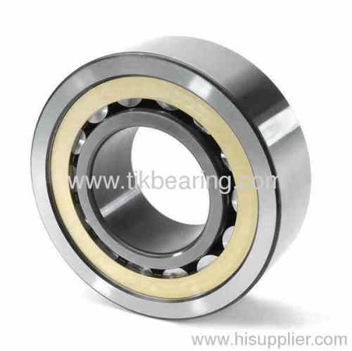 Chinese cylindrical roller bearings