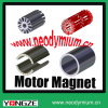 Neodymium NdFeB Rotor Magnet