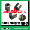 Neodymium Arc Motor Magnet