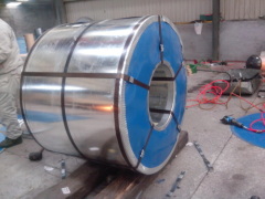 Prepainted steel coil with good price and quality