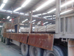 Hot dipped galvanized steel coils and sheet