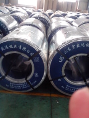 Prepainted Galvanized Steel Coil