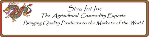 STVA INT INC