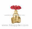 BSP / ISO228 Thread Brass Gate Valve With Iron Handle Custom