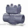 1/2" - 36" Mechanical Check Valve, Forged Steel Valves ASME B16.34