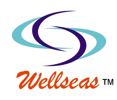 Shanghai Wellsea Trading Co.,Ltd