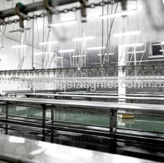 Turkey processing equipment portioning line