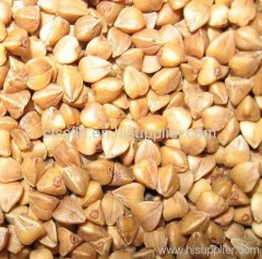 roasted buckwheat kernels buckwheat
