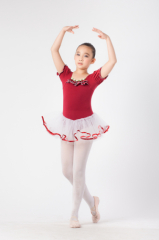 dance wear/dance tutu/dancewear/dance leotard/tutu/tutu skirt