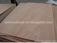 Plywood bintangor okoume poplar