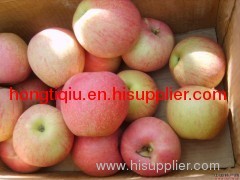 fresh shaanxi gala apple