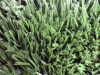 well known Chinese Synthetic Grass Suppliers