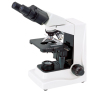 a Biological Binocular microscope