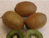 shaanxi Fresh Kiwi Fruit