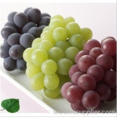 Fresh red globe Grapes