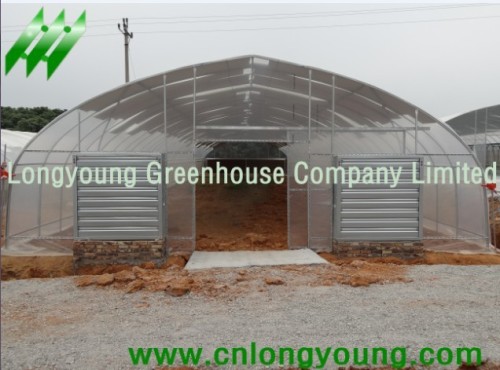 Economical Tunnel Greenhouse from longyoung greenhouse