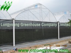 Saw Tooth Greenhouse from longyoung greenhouse