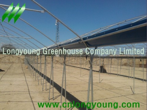 Tunnel-Connected Greenhouse from longyoung greenhouse