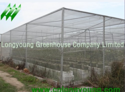 The Net House from longyoung greenhouse