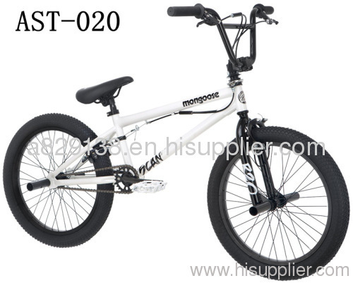 20-Inch Boy's Freestyle Bike