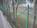 barbed wire mesh barrier