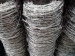 strong supply ability for galvanized barbed wire