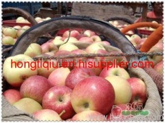 shaanxi Fresh gala apple