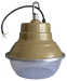 LVD induction highbay light