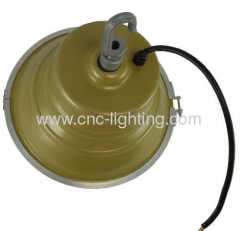 UL listed 40-100W IP65 Waterproof Induction Highbay light with Internal driver