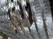 hot dipped galvanized concertina wire