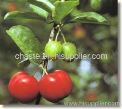 Acerola Extract-Oak Leaf Cherry Extract