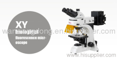 XY fluorescence biological microscope