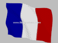100% polyester french flag