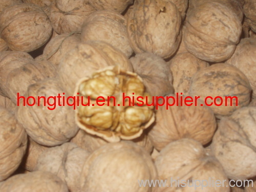 Shaanxi walnut (walnut seed)