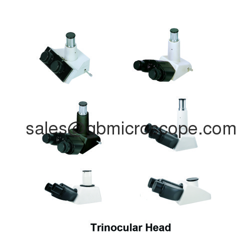 Trinocular Head Series for microscope