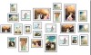 photo frames on walls,frames picture wall,photo wall frame