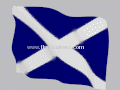 Custom Scottland national flag