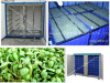 Best Cheapest Popular Automatic Professional Bean Sprouting Growing Machine