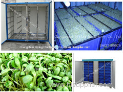 Best Cheapest Popular Automatic Professional Bean Sprouting Growing Machine