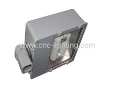 UL listed 40-150W shoe box induction garden light
