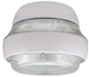 UL listed IP65 40W Induction Canopy Light