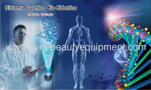 2013 New arrival 33 Spanish report quantum magnetic resonanceanalyzer 