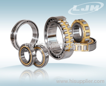 Double row cylindrical roller bearing