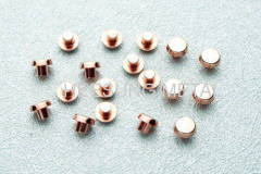 Electric Contact Rivets from Heesung