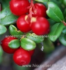 Cranberry Extract food grade