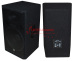 Professional Audio PA Sound System PA Speaker