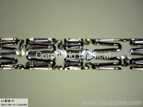 Cora Cobalt-Chromium Coronary Stent System