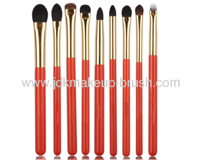 Professional Makeup Eye Brush Set