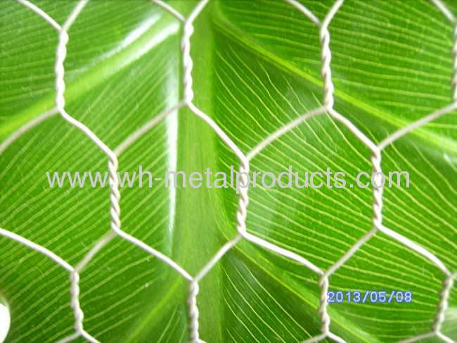 Hexagonal wire netting barrier